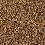 Nawóz długodziałający do roślin kwitnących Lechuza PERFECT FLOWER 150g