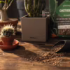 Podłoże Lechuza Cactuspon do kaktusów