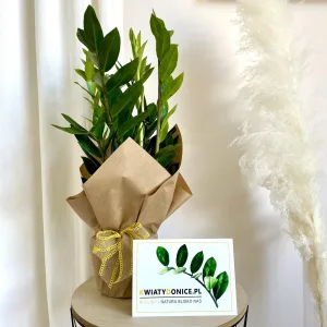 Pakowanie kwiatka na prezent