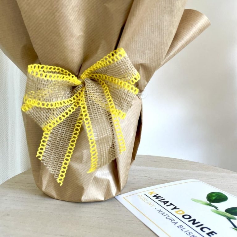 Pakowanie kwiatka na prezent