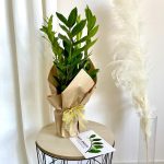 Pakowanie kwiatka na prezent