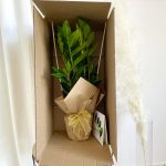 Pakowanie kwiatka na prezent