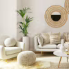 Palma kentia/howea (Howea) 90-100cm