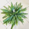 Paproć nefrolepis (Nephrolepis ‘Green Lady’) 35-45cm