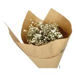 Gipsówka suszona biała