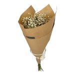 Gipsówka suszona biała