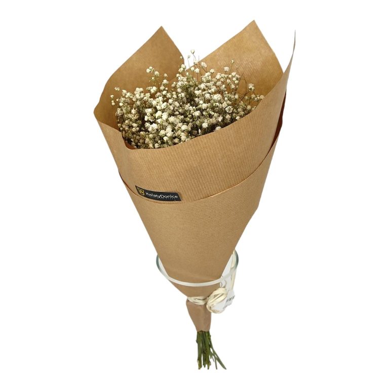 Gipsówka suszona biała