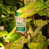Plant Lover w 100% naturalny nawóz – Dbaj na co dzień