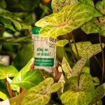 Plant Lover w 100% naturalny nawóz - Dbaj na co dzień