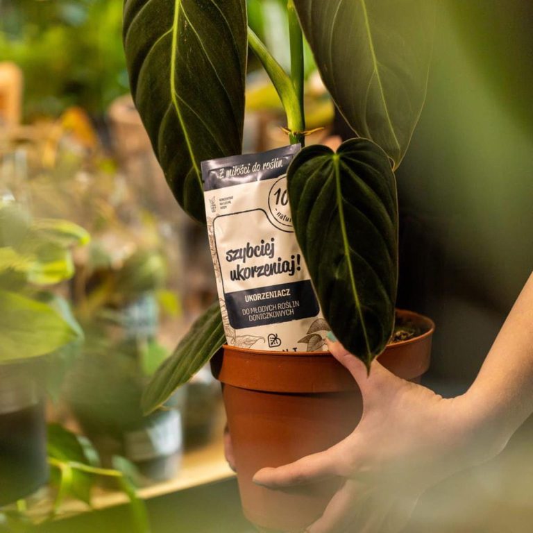 Plant Lover w 100% naturalny nawóz - Szybciej ukorzeniaj