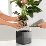 Płytka do sadzenia - denko separujące do donic z systemem knotowym