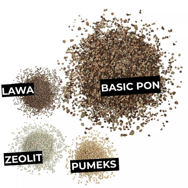 Podłoże Lechuza BASIC PON substrat uniwersalny bez nawozu 12L