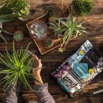 Lechuza Basic PON 20L- substrat uniwersalny bez nawozu