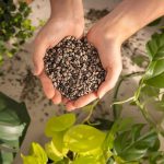 Podłoże Lechuza PON substrat mineralny 30L