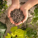 Podłoże Lechuza PON substrat mineralny 6L