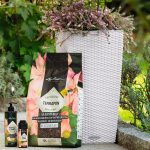 Podłoże Lechuza TERRA PON - podłoże na balkony i tarasy 12L