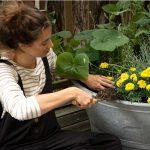 Podłoże Lechuza TERRA PON - podłoże na balkony i tarasy 12L