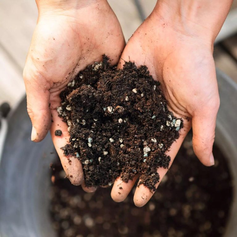 Podłoże Lechuza VEGGIE PON - podłoże do warzyw i ziół 6L