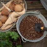 Podłoże Lechuza VEGGIE PON - podłoże do warzyw i ziół 12L