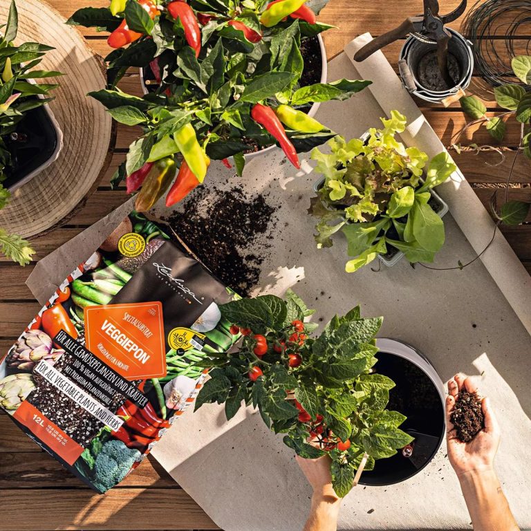 Podłoże Lechuza VEGGIE PON - podłoże do warzyw i ziół 12L