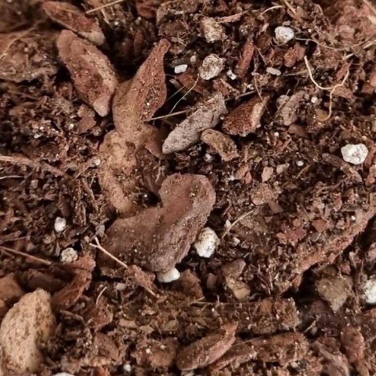 Podłoże do storczyków orchidea 3l