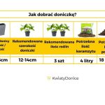 Doniczka plastikowa balkonowa podłużna wysoka kremowa