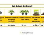 Doniczka plastikowa balkonowa podłużna biała