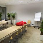 Rośliny doniczkowe- wizualizacja każdego wnętrza