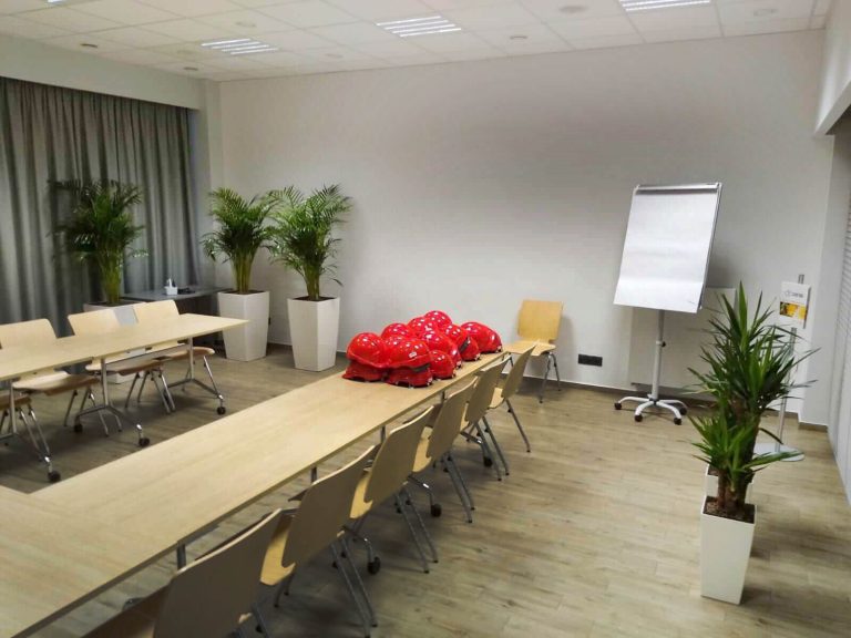 Rośliny doniczkowe- wizualizacja każdego wnętrza