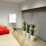 Rośliny doniczkowe- wizualizacja każdego wnętrza