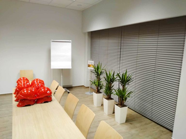 Rośliny doniczkowe- wizualizacja każdego wnętrza