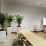 Rośliny doniczkowe- wizualizacja każdego wnętrza