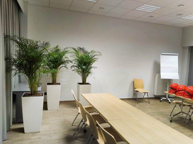 Rośliny doniczkowe- wizualizacja każdego wnętrza