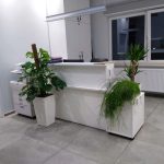 Rośliny doniczkowe- wizualizacja każdego wnętrza