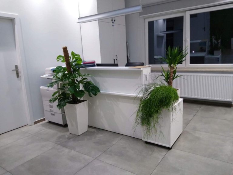 Rośliny doniczkowe- wizualizacja każdego wnętrza