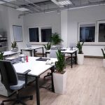 Rośliny doniczkowe- wizualizacja każdego wnętrza