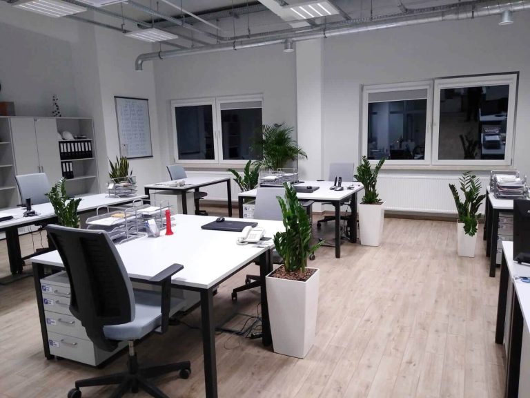 Rośliny doniczkowe- wizualizacja każdego wnętrza