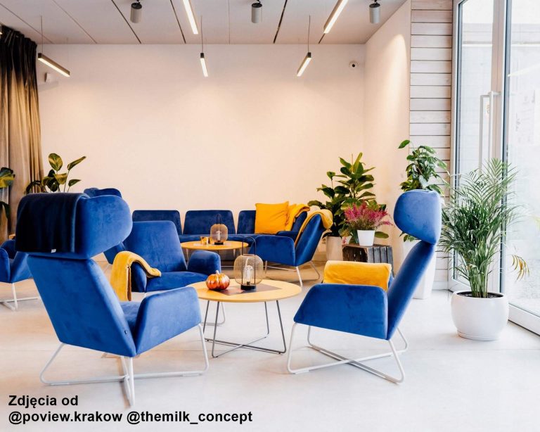 Rośliny doniczkowe- wizualizacja każdego wnętrza