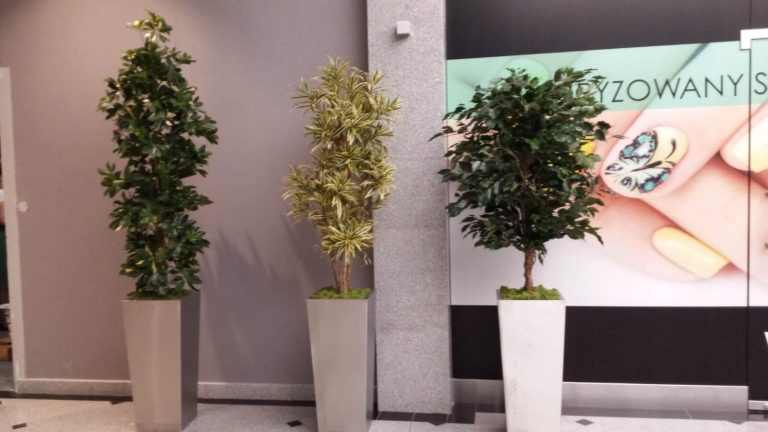 Rośliny doniczkowe- wizualizacja każdego wnętrza