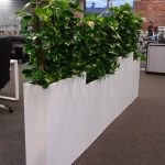 Rośliny doniczkowe- wizualizacja każdego wnętrza