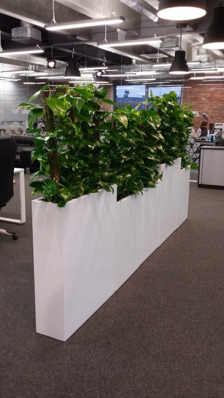 Rośliny doniczkowe- wizualizacja każdego wnętrza