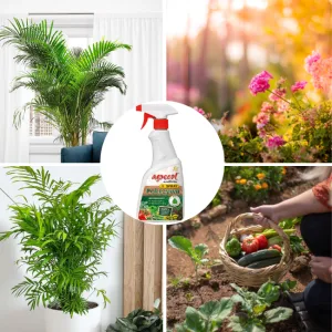 Naturalny  stymulator wzrostu pokrzywa