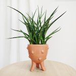 Osłonka ceramiczna na nóżkach Jamie łososiowa