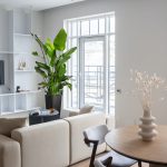 Strelicja biała (Strelitzia nicolai) 180cm