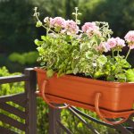 Uchwyt na "5-kę" do skrzynki balkonowej - biały