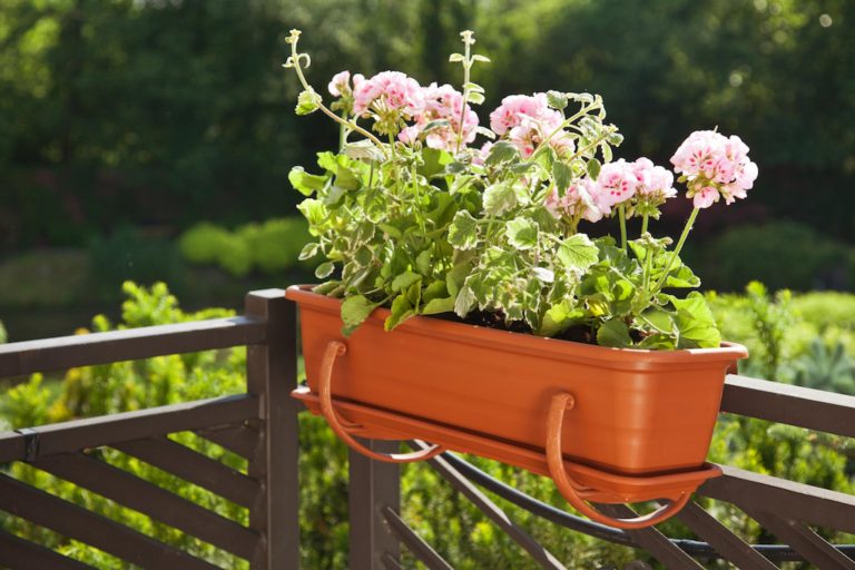 Uchwyt na "5-kę" do skrzynki balkonowej - biały