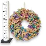 Wianek na drzwi z gipsówki stabilizowanej wiecznie żywy 40cm