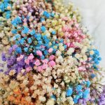 Wianek na drzwi z gipsówki stabilizowanej wiecznie żywy 40cm