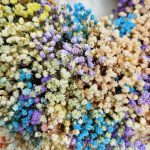 Wianek na drzwi z gipsówki stabilizowanej wiecznie żywy 40cm