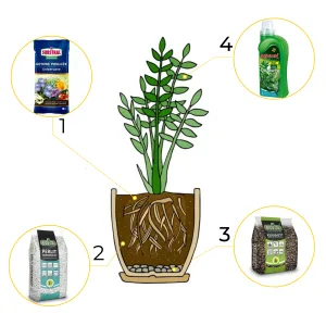 6w1 do ROŚLIN ZIELONYCH - zestaw do przesadzania